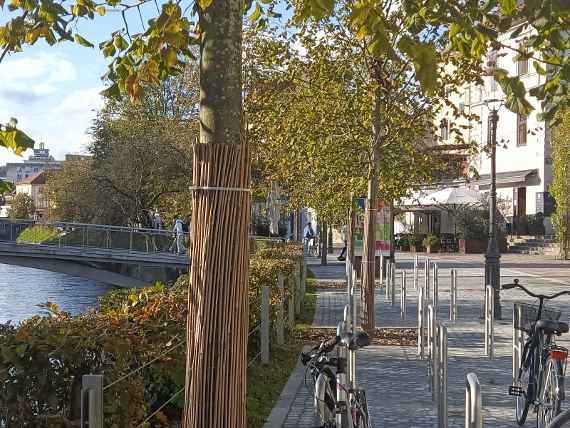 Uferstraße mit Baumbepflanzungen, Radabstellanlage und Geh- & Radweg