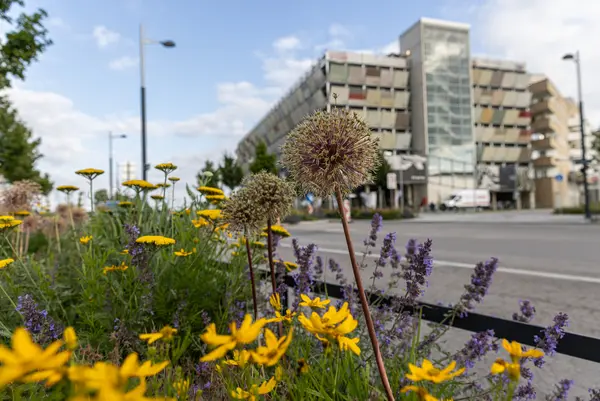 klimaaktiv mobil Auszeichnung 4. Juni 2024