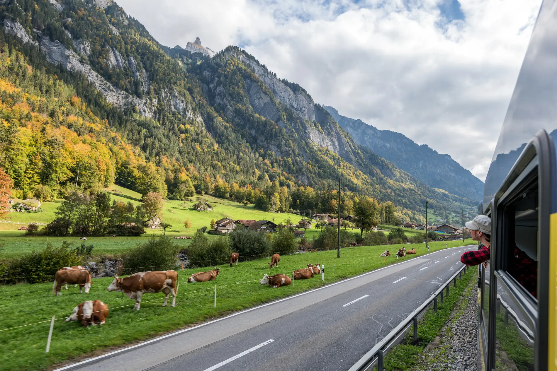 Ein Foto aus dem Zugfenster geknippst: Zu sehen ist eine alpine Landschaft mit Kühen sowie eine Straße und Schienen.