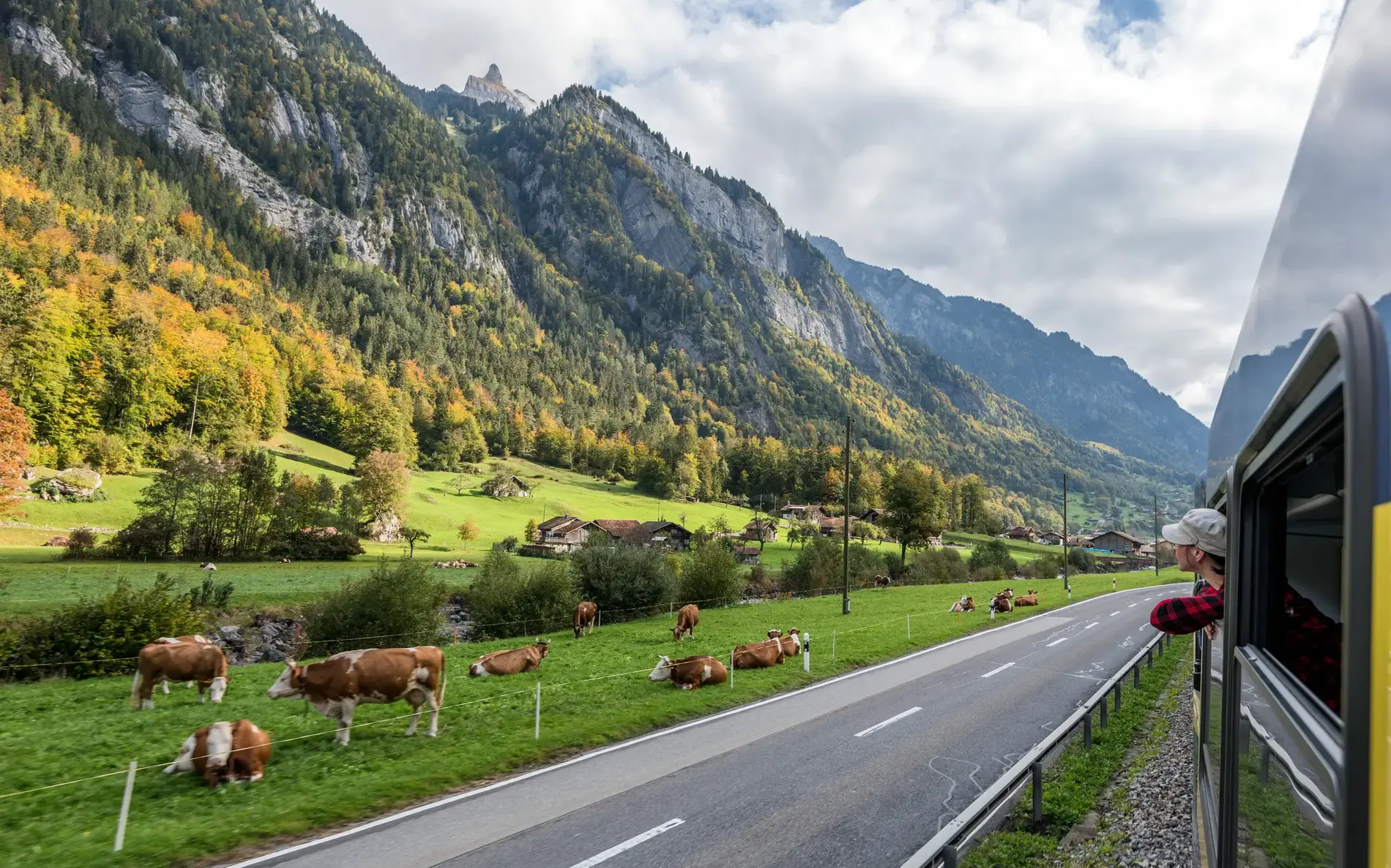 Ein Foto aus dem Zugfenster geknippst: Zu sehen ist eine alpine Landschaft mit Kühen sowie eine Straße und Schienen.